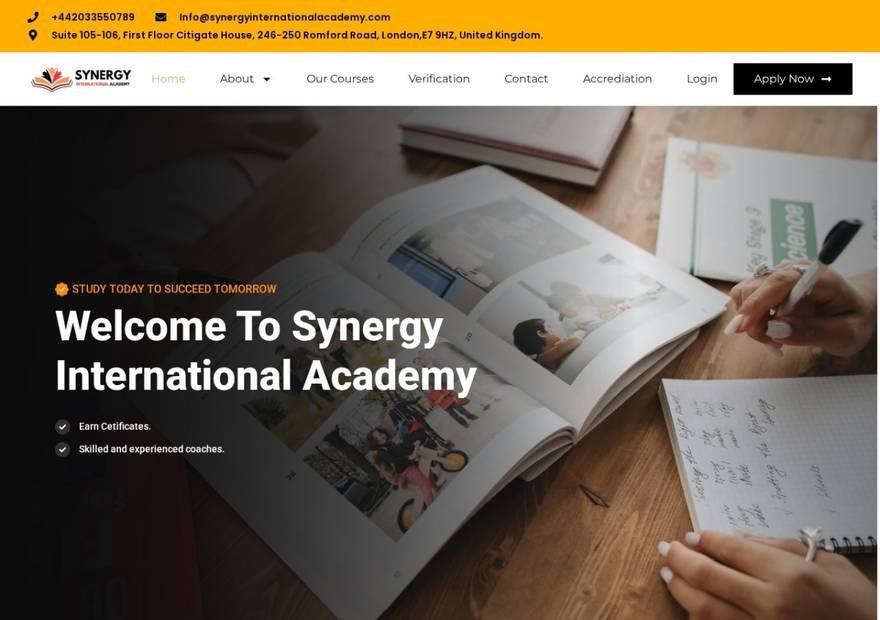 Synergy International Academy website homepage design — Business Services